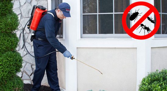 Havsa Hamam Böceği İlaçlama böcek ilaçlama ve haşere kontrolü — ilaclama-tr.com
